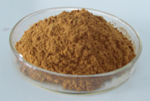 Supply Natural Shiitake Mushroom Straight Extract Powder