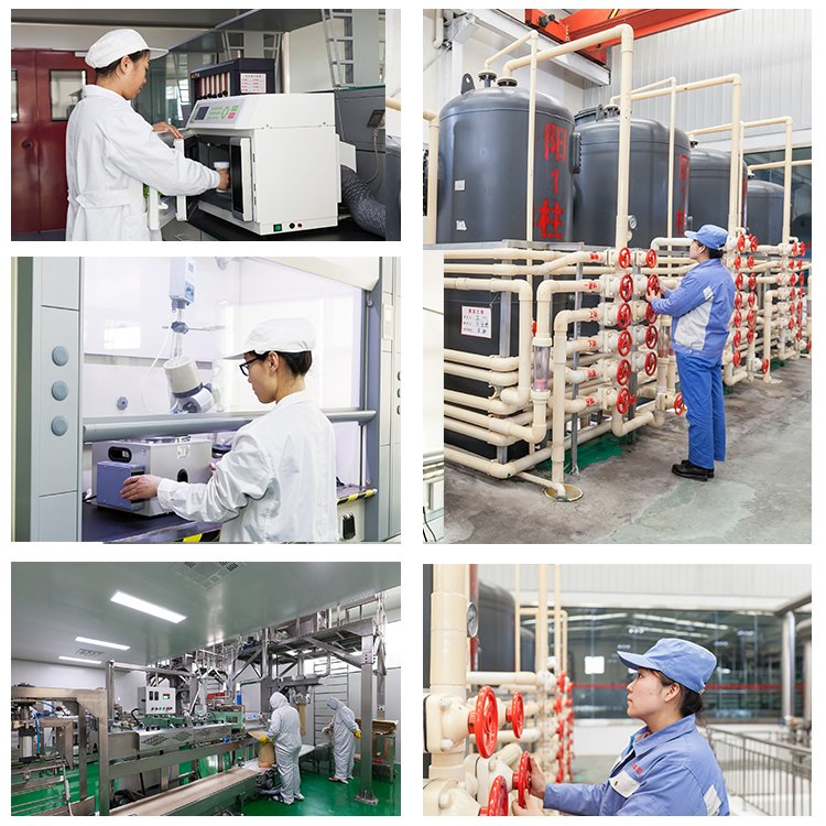 Food Grade Stachyose Powder – Super Prebiotic Ingredient for Healthy Foods &amp; Beverages