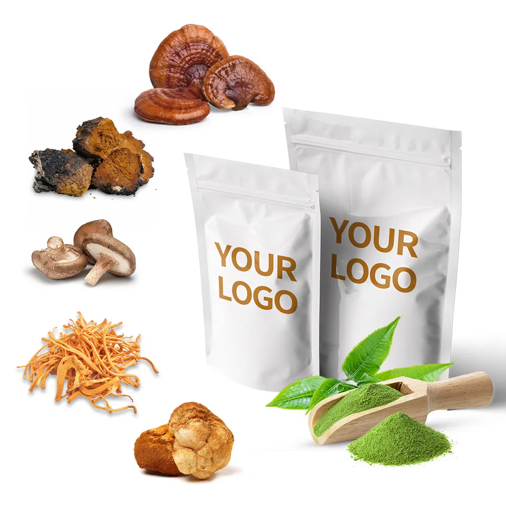 Mushroom Extract Powder 7