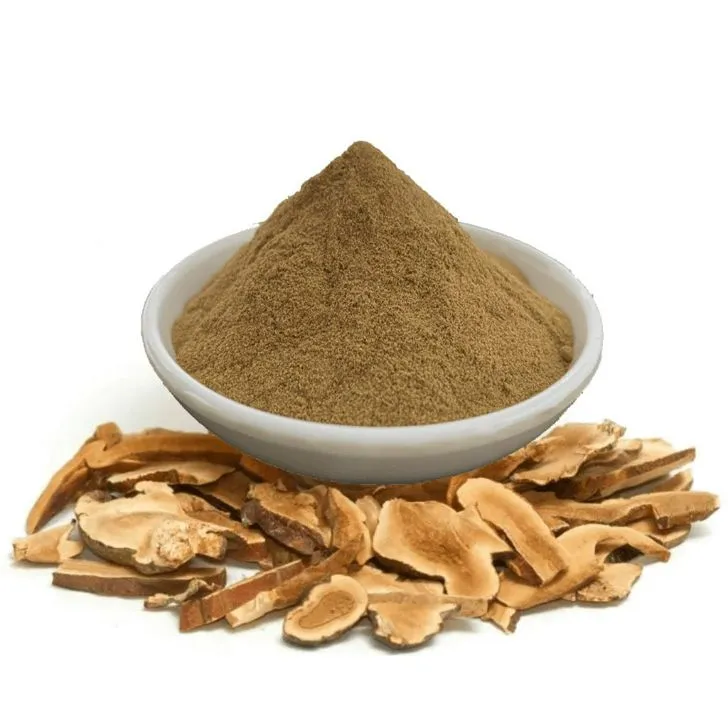 Astragalus Extract Powder