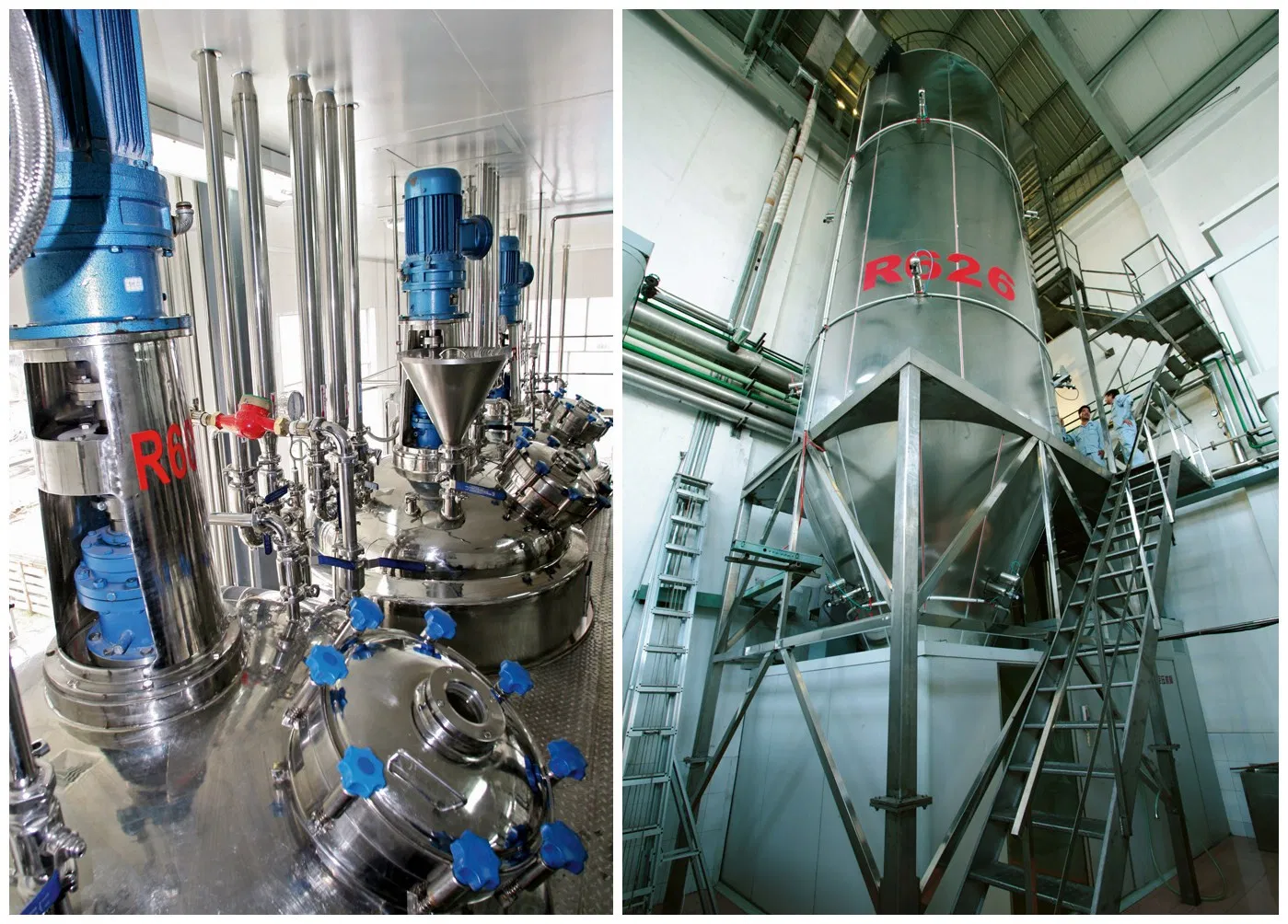 Natural &Synthetic Ve Series Anti-Oxidant Halal Certified Food Additive