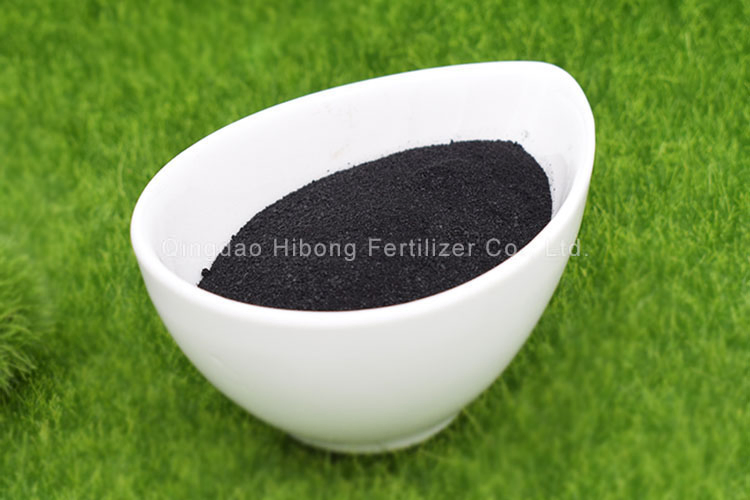 Organic Seaweed Extract Flakes for Thriving Plant Growth