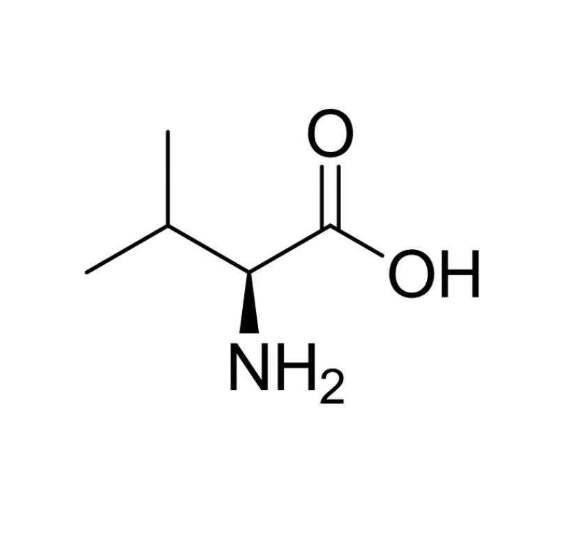 L-Valine 99% USP/Ep Standard Food Grade / Food Additive CAS 72-18-4