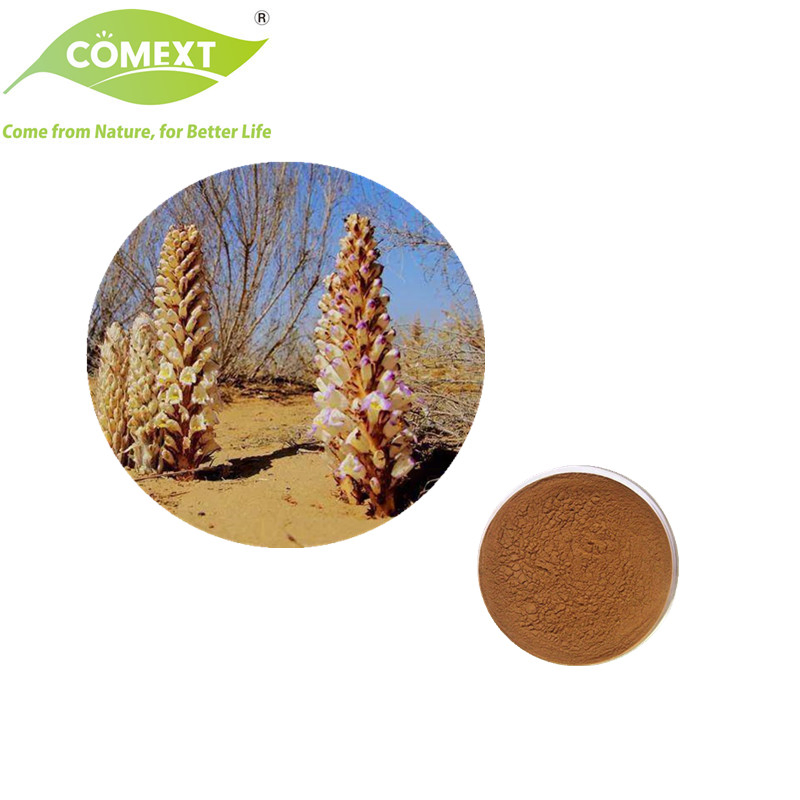 Comext Traditional Chinese Medicine Herb Extract Health Food Increase Male Functional Cistanche Tubulosa