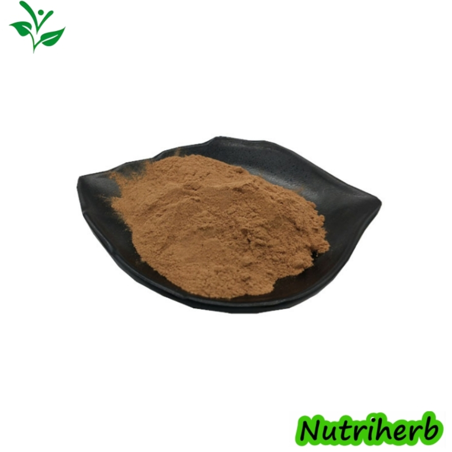 Wholesale Health Products Natural Plant Herbal Raw Material Organic 20% Flavone Nuciferine Lotus Leaf Root Flower Powder Extract