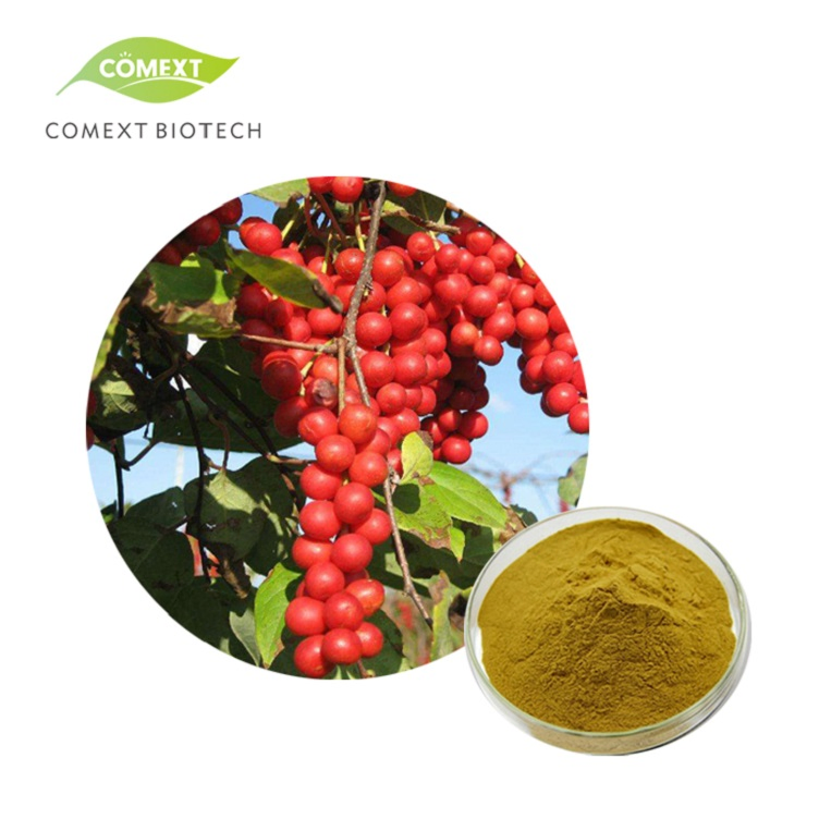 Comext China Traditional Medicine Fssc Plant Extract Manufactory Schisandra Chinensis 1% 2% 9% Schisandrins