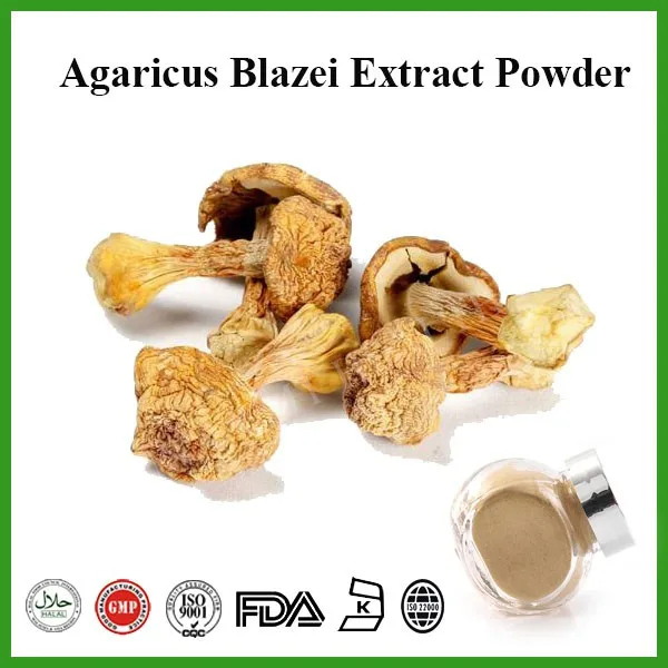 Food Grade Agaricus Blazei Mushroom Extract Water-Soluble Plant Concentrated Extract