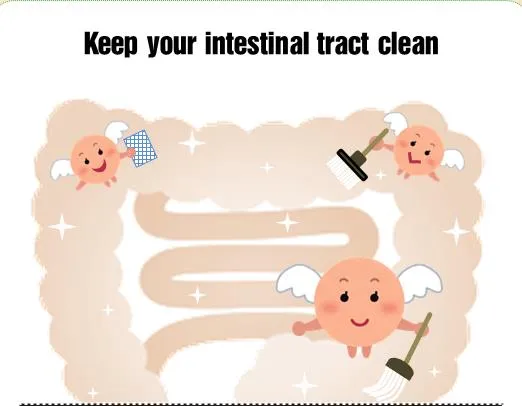 Stachyose Health Benefits