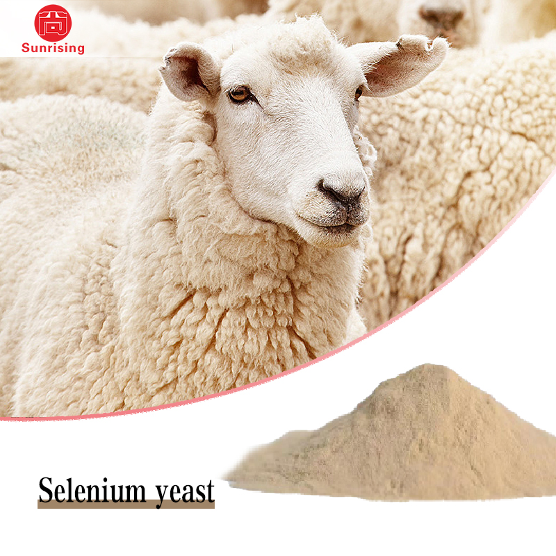 Nutritional Supplement Organic Selenium Yeast Animal Feed Additive