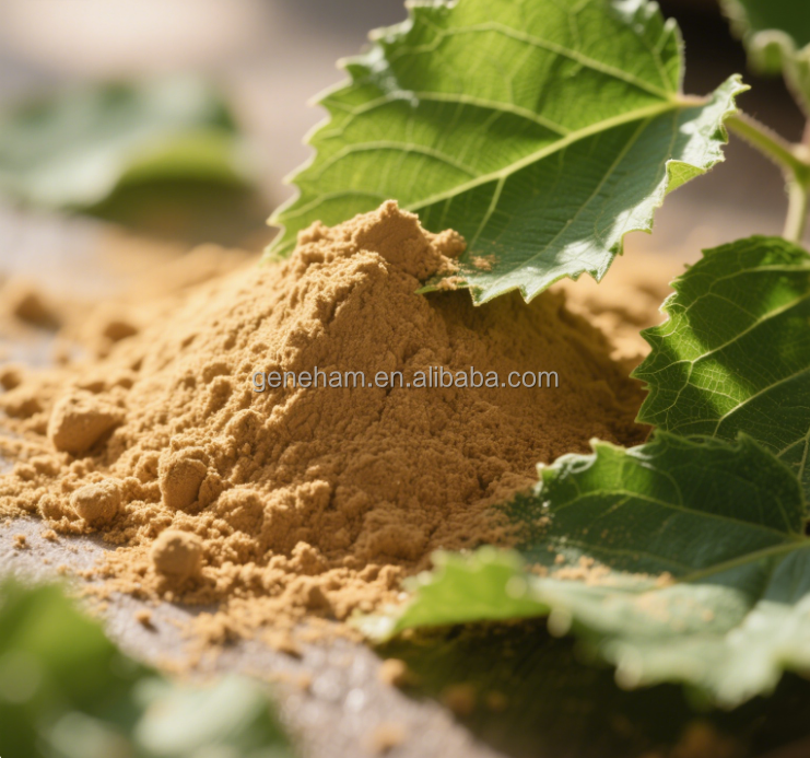 Organic 5% Dnj Mulberry Leaf Extract Wholesale Halal Certified Competitive Price Plant Extract