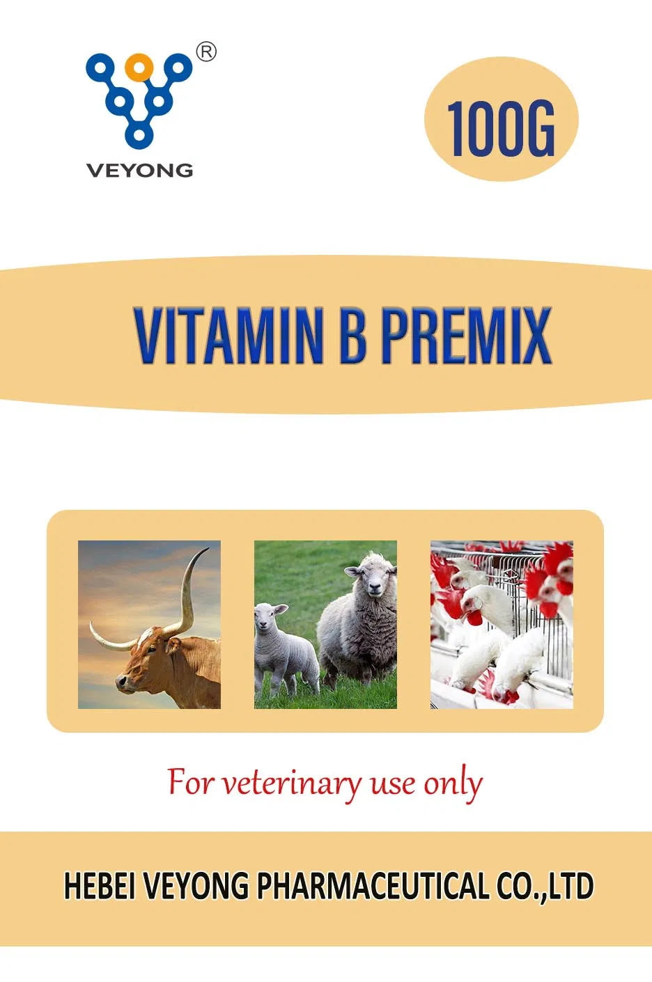 Product Description Image