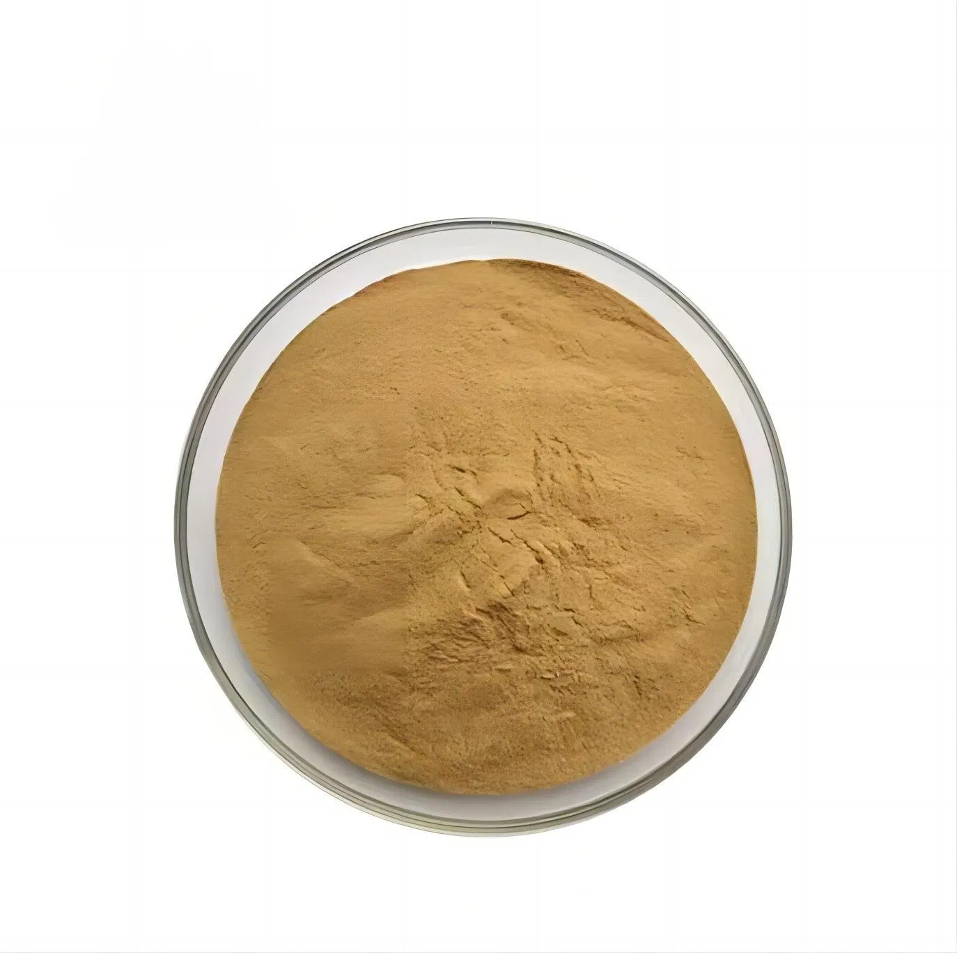 Factory Price Water Soluble Cough Syrup 100% IVY Leaf Herbal Plant Extract