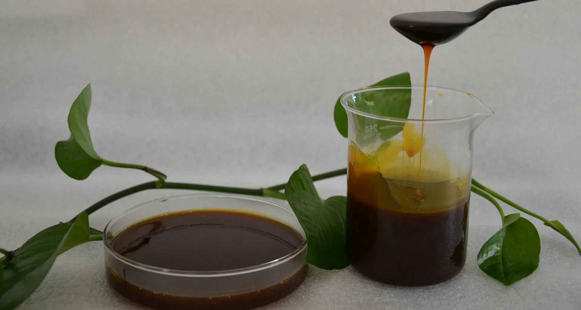 Soya Lecithin Product