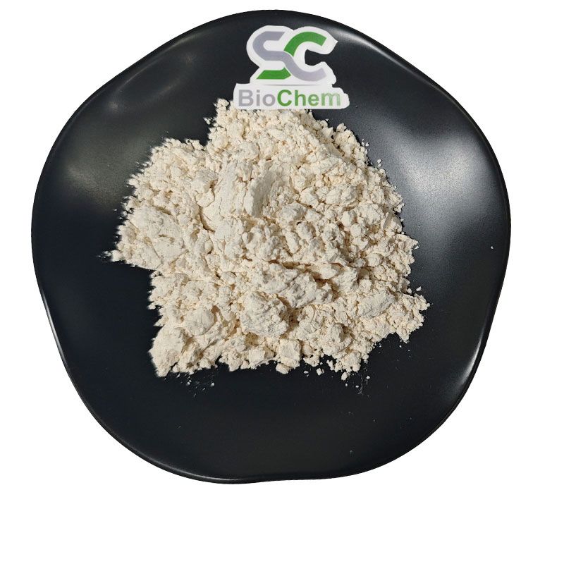 Tiger Milk Mushroom Extract Grinded Powder Tigermilk Mushroom Powder