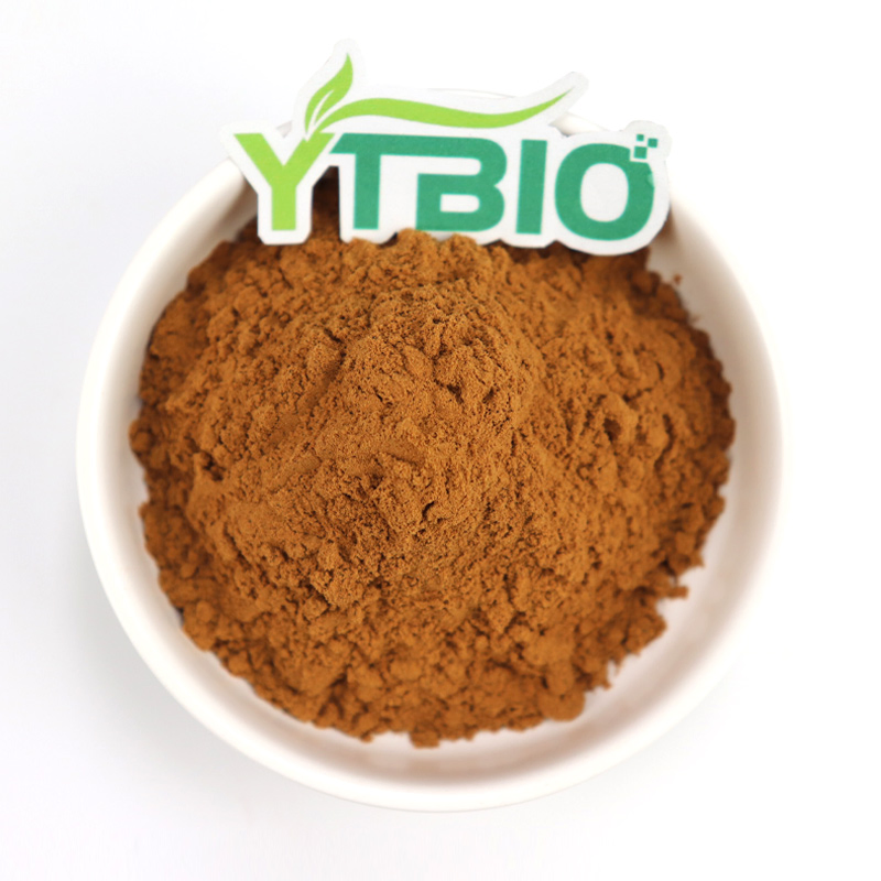 Herb Organic Plant Root 4% Cichoric Acid Powder Purpurea Echinacea Extract