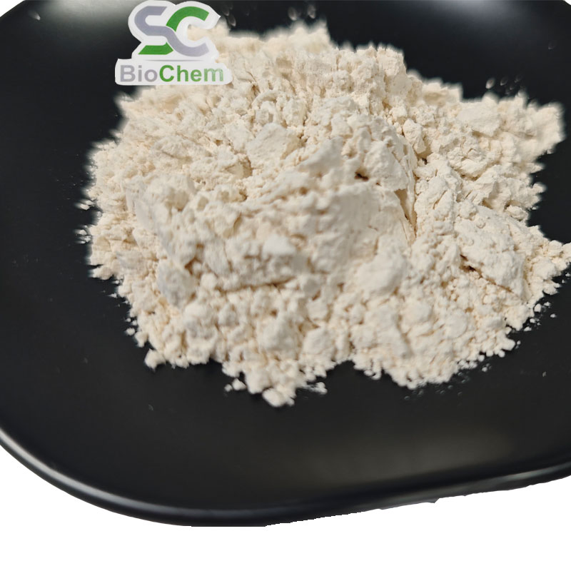 Tiger Milk Mushroom Extract Grinded Powder Tigermilk Mushroom Powder