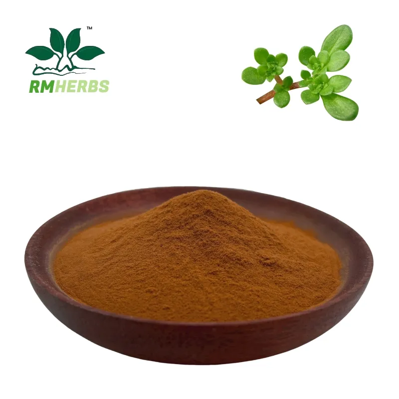 Purslane Extract Close-up
