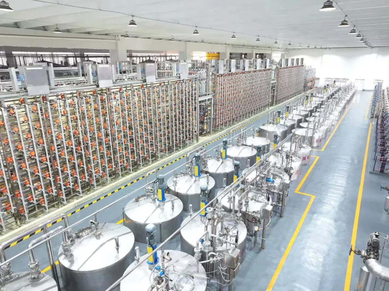 Plant-Based Stachyose – Functional Prebiotic Ingredient for Healthy Food Applications