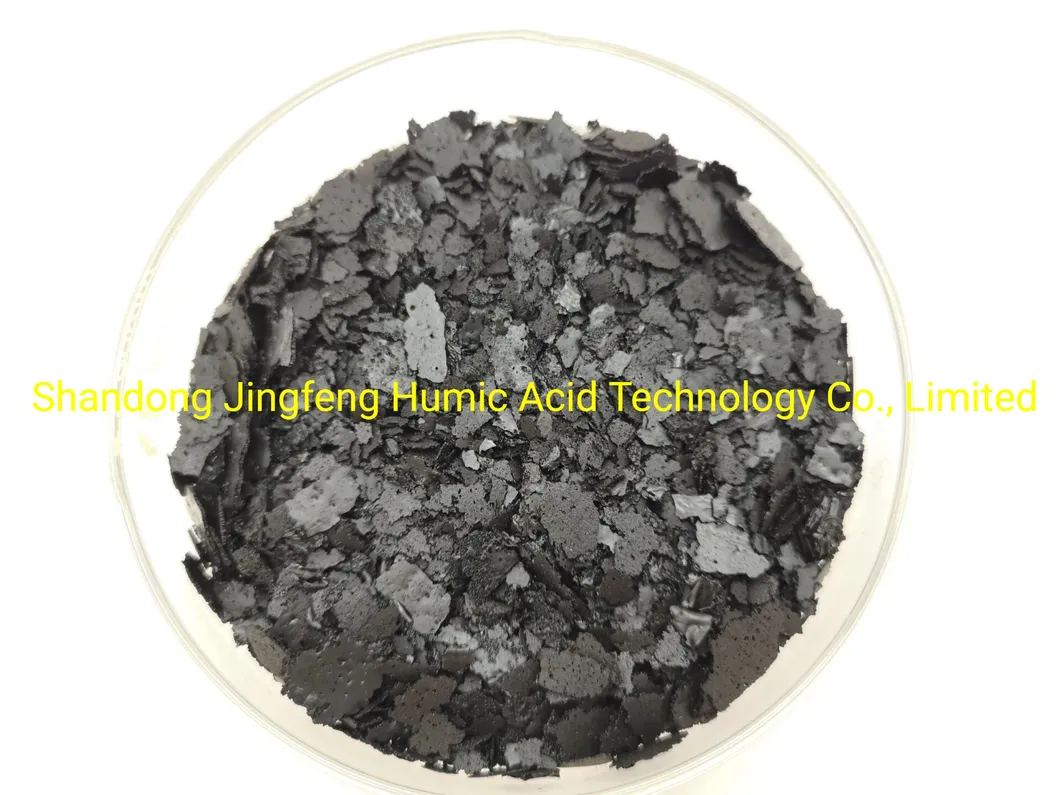 Seaweed Extract Flake