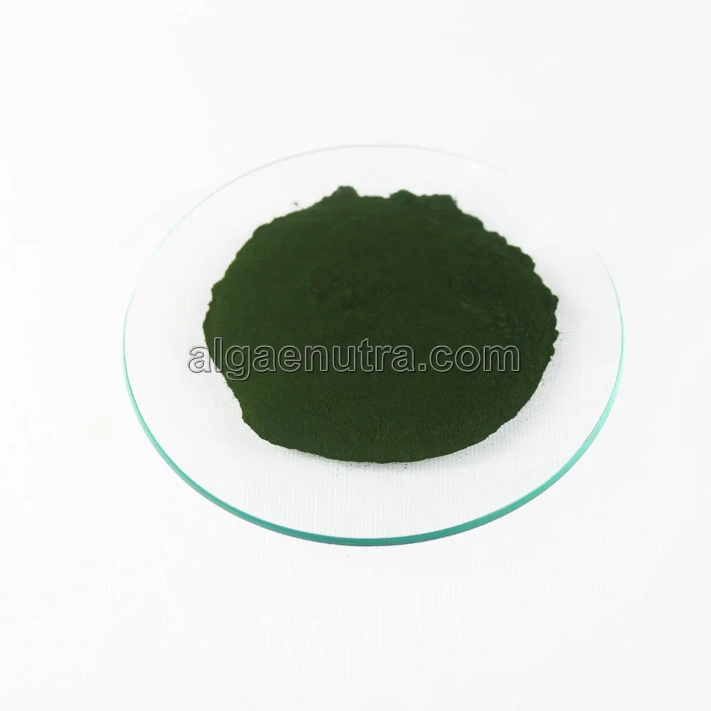 High Quality High Protein 65% Chlorella Powder Healthy Food Additive