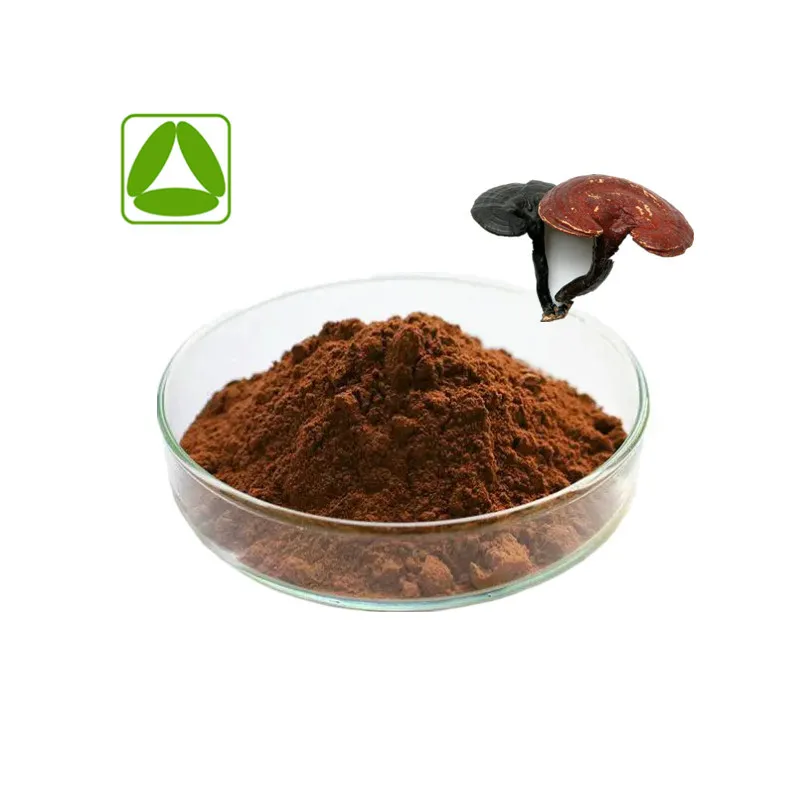 Reishi Mushroom Extract Powder