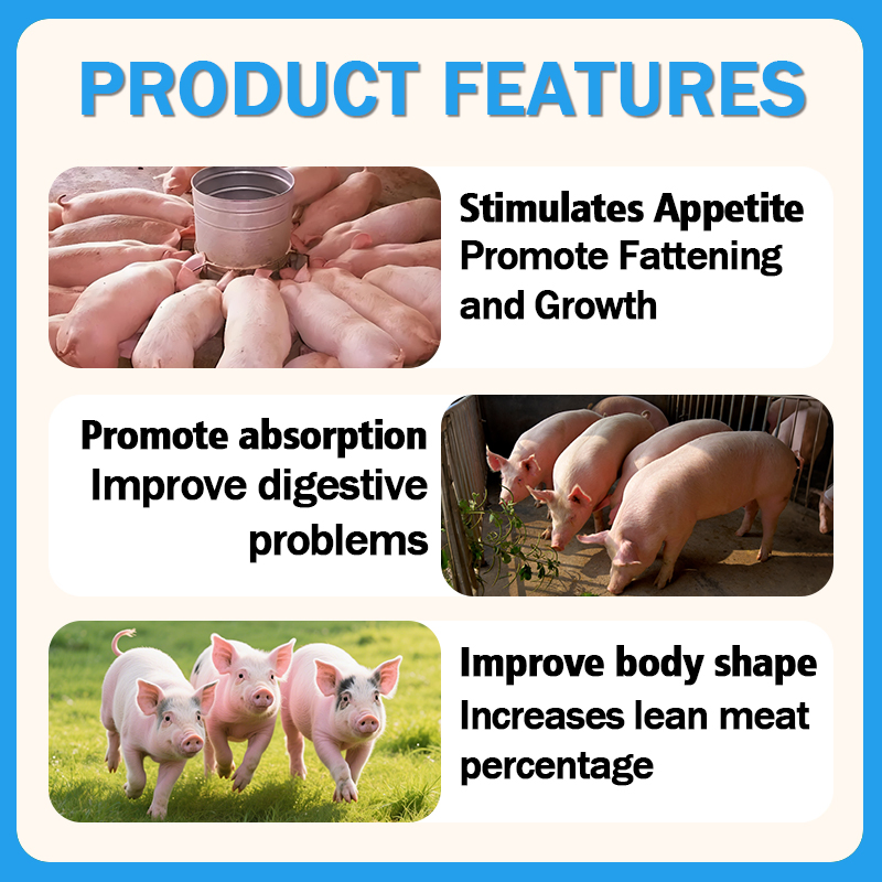 0.1% Vitamin Premix for Piglets (Late Nursery Stage) Quality-Elevating &amp; Growth-Boosting