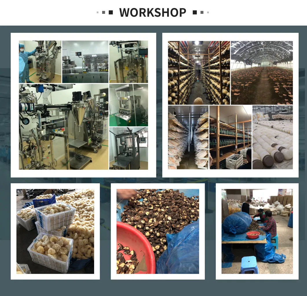 Installation Instructions