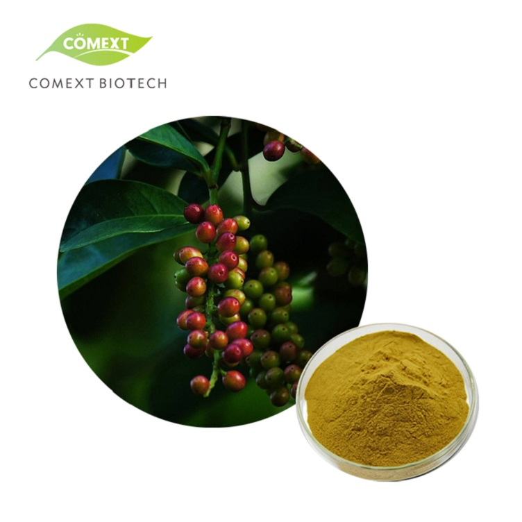 Comext China Traditional Medicine Fssc Plant Extract Manufactory Schisandra Chinensis 1% 2% 9% Schisandrins