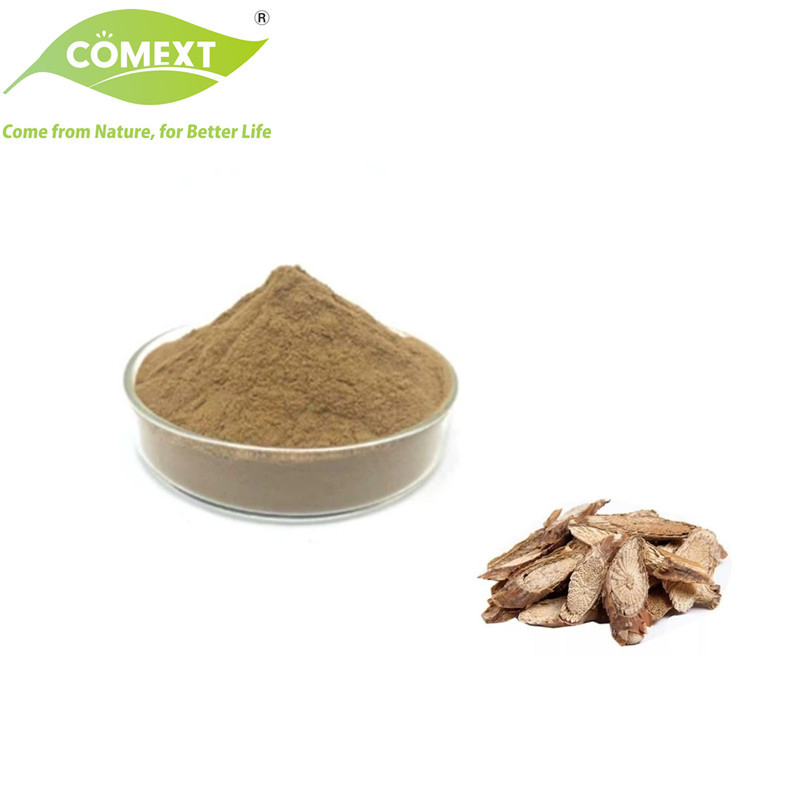 Comext Traditional Chinese Herbal Medicine Ingredient 10: 1 Chinese Saussurea Costus Root Extract