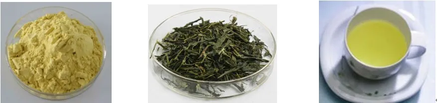 Instant Green Tea Powder Banner