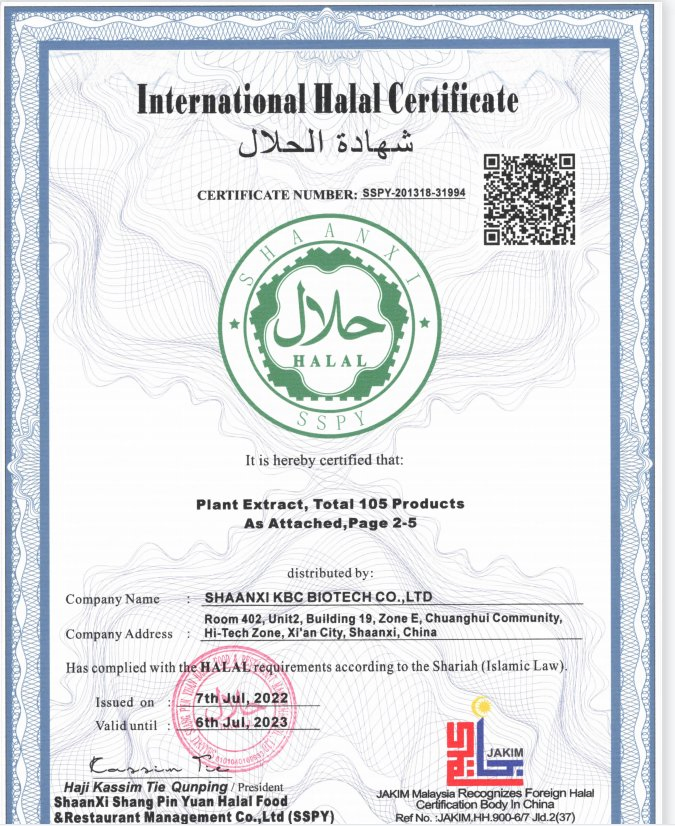 Good Price Quality Herbal Powder Chaga Mushroom Extract Powder with 10% Polysaccharides