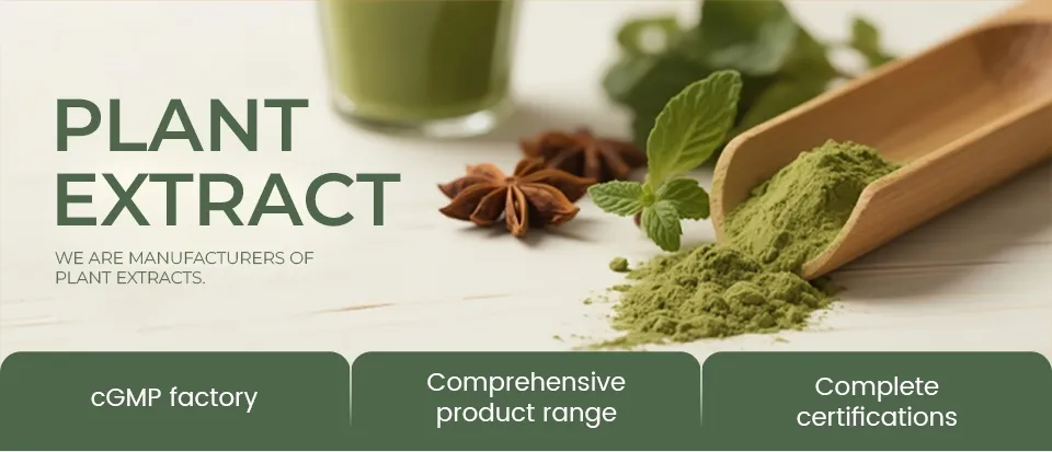 Echinacea Extract Banner