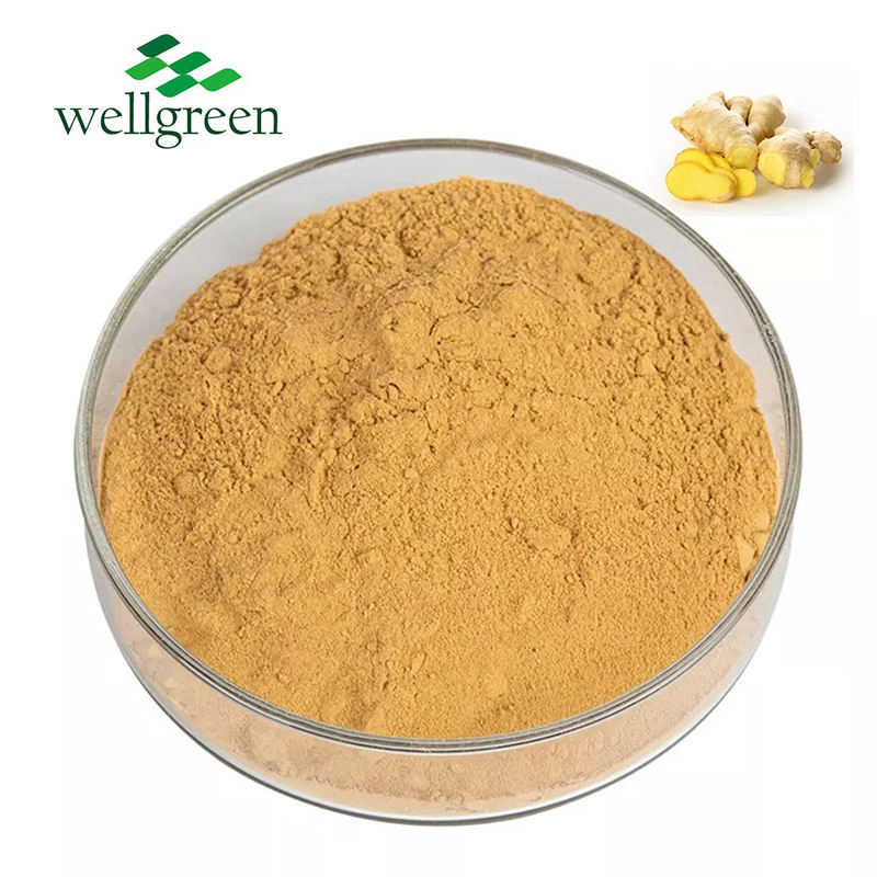 Natural Plant Extract Water Soluble Spray Dried Ginger Powder