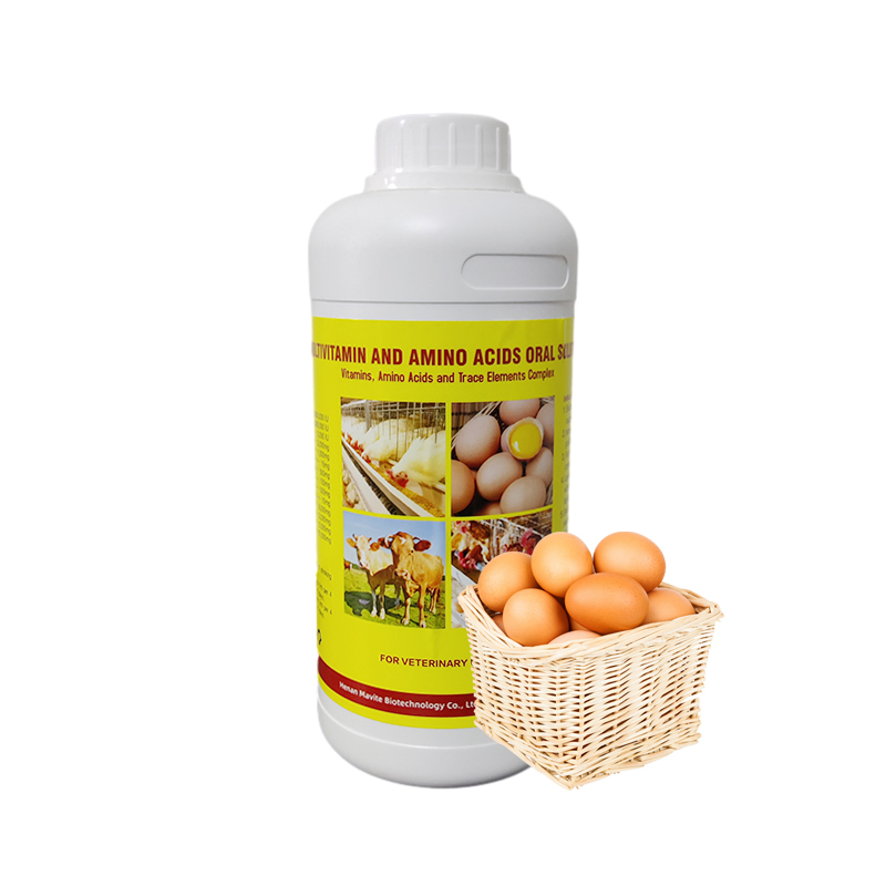 Oral Solution Multivitamin Chicken Egg Hen Vitamin Supplement Ant--Stress