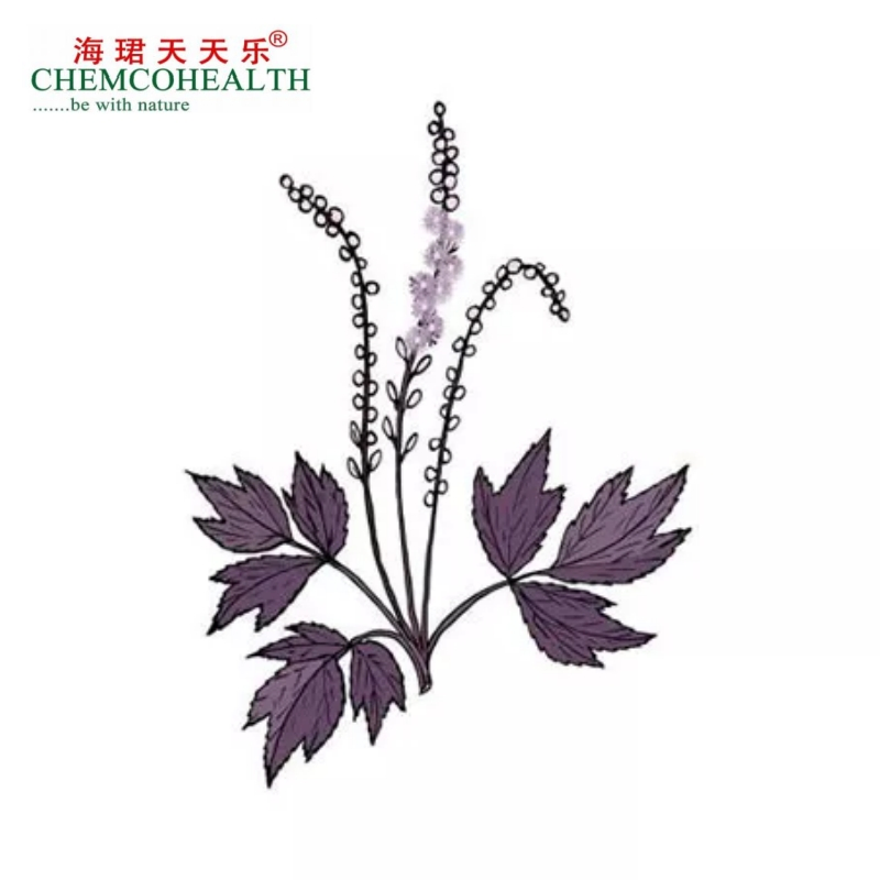 Natural Herbal Extracts with Multiple Concentrations of Triterpene Glycosides Black Cohosh Extract