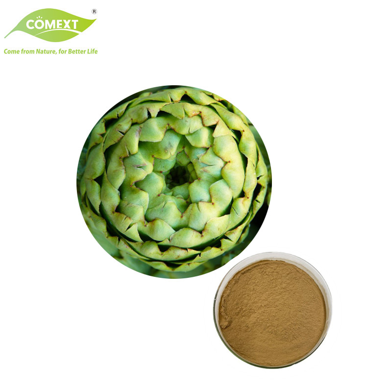 Natural Plant Extract Artichoke Leaf Extract Powder Artichoke Extract Cynara Scolymus Powder