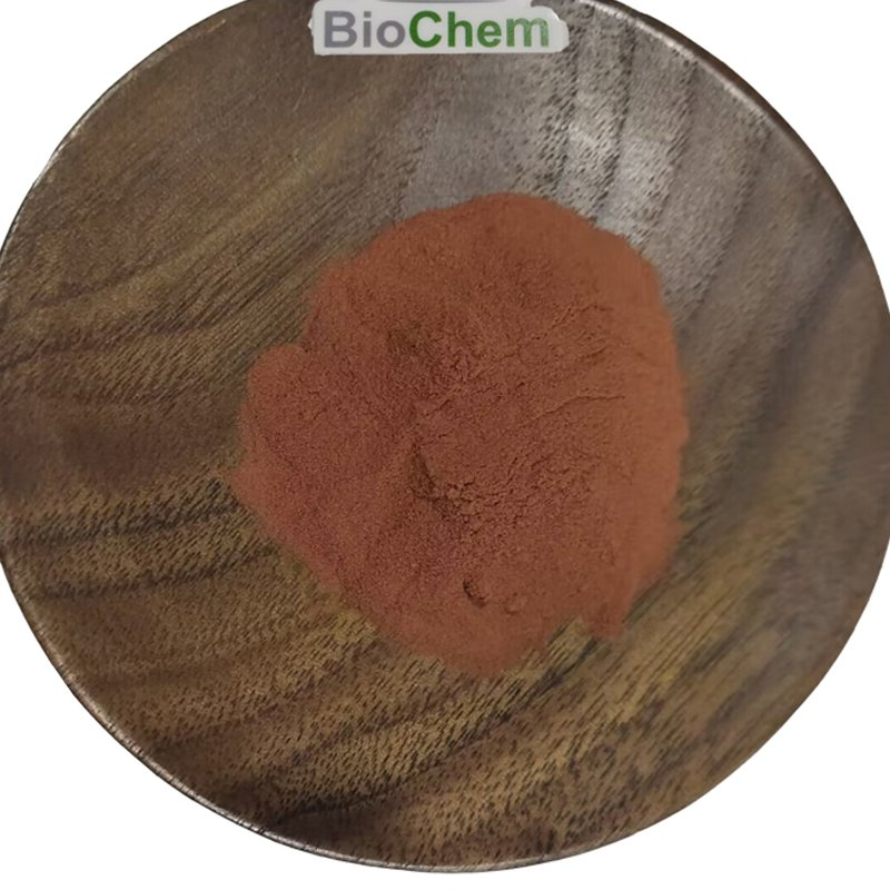 Natural 95% Herbal Extarct Proanthocyanidins Powder Pine Bark Extract