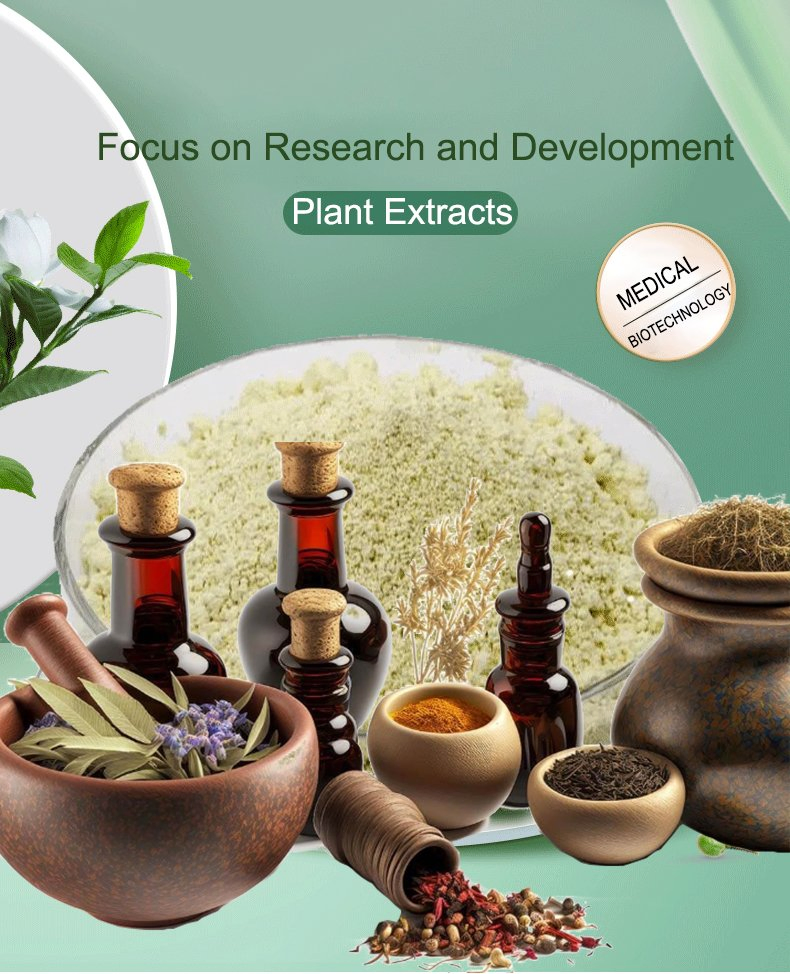 Fusso Extract Powder with 4: 1 10: 1 Husso Plant Health Care High Quality 100% Organic Fusso Plant Extract Powder