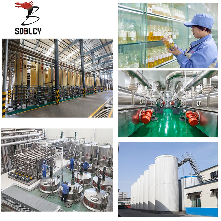 Resistant Maltodextrin Prebiotic Ingredient for Metabolic Health and Digestive Support