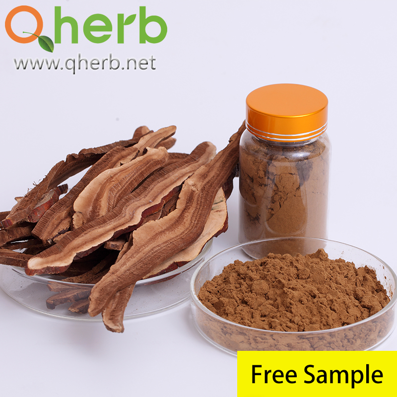 Natural Reishi Polysaccharide Ganoderma Lucidum Lingzhi Reishi Mushroom Extract Powder