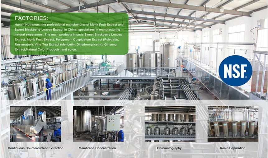 Free Samples 50% Polysaccharides Powder From Mushroom Hericium Erinaceus Extract