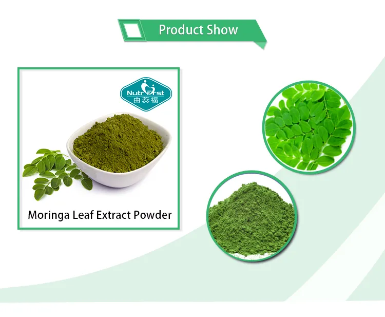 Moringa Leaf Extract Powder