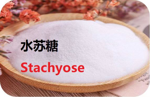 Rare Functional Oligosaccharide Stachyose for Health Food