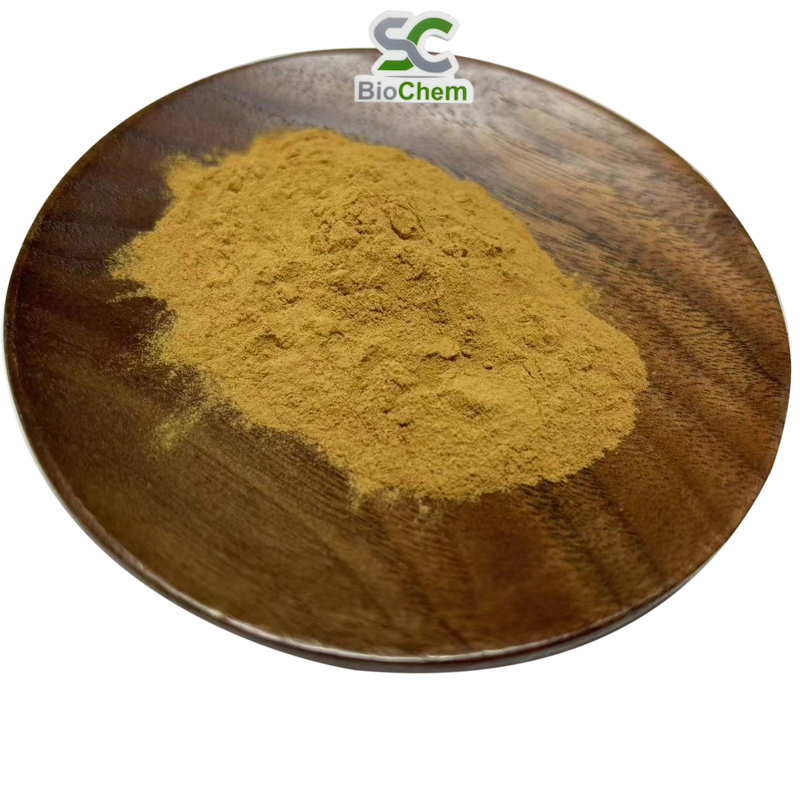 Factory Supply Natural Plant Extract Herb Extract 10%-98% Forskolins Coleus Forskohli Extract