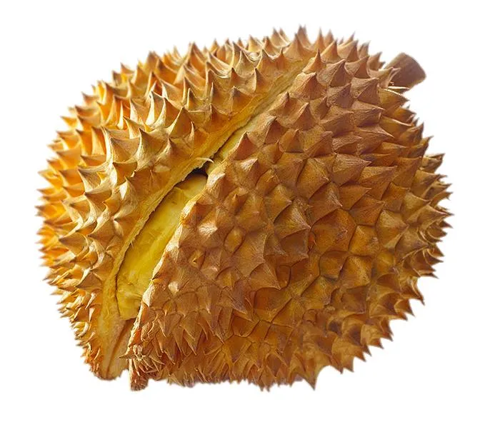 Durian Fruit Extract
