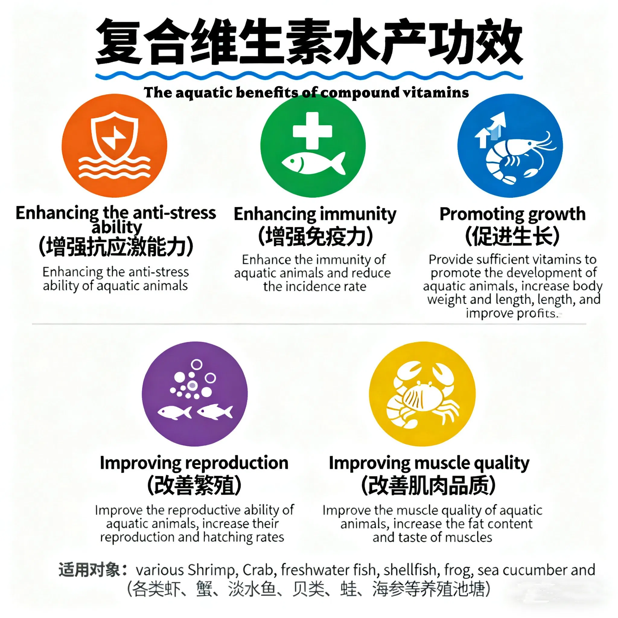 Professional Animal Feed Grade Vitamin Premix for Poultry Chicken Broiler Layer Growth