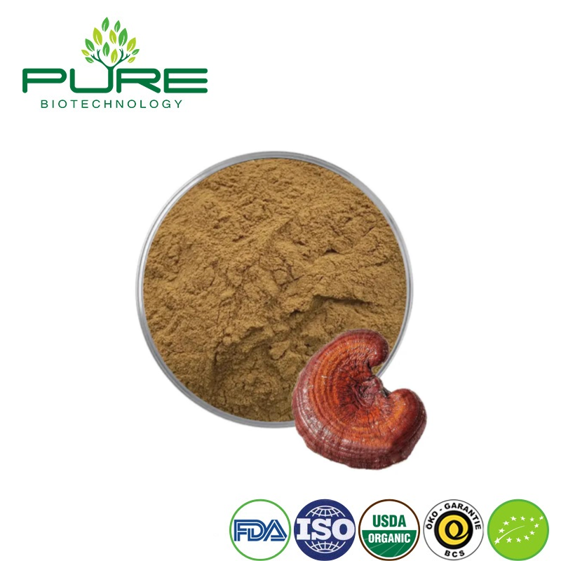 Natural Reishi Mushroom Extract Powder for Overall Wellness Boost