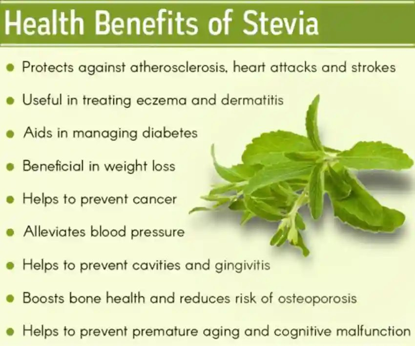 Natural Sweetener for Food and Beverage Stevia Extract Powder Reb-a 80%-99% Stevia