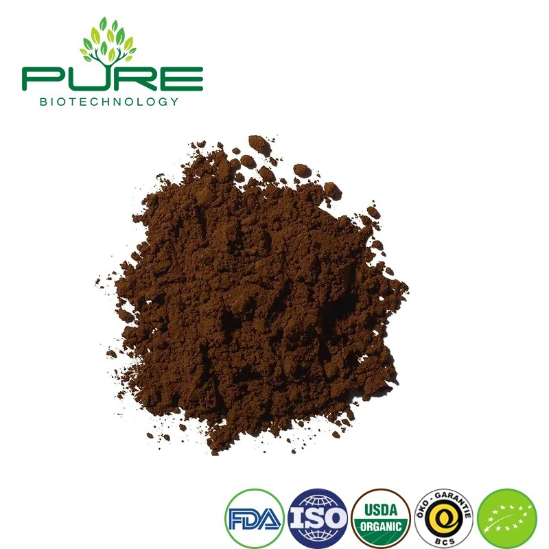 Premium Organic Chaga Mushroom Extract Powder for Wholesale Supply