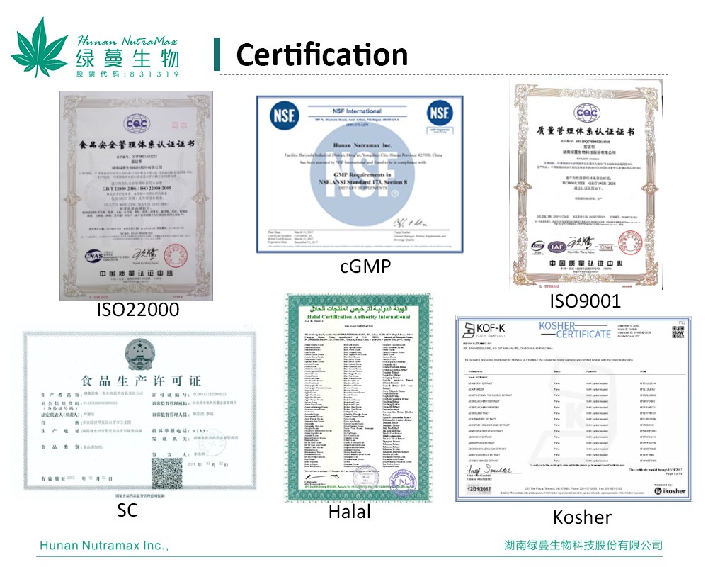 100% Natural Instant Black Tea Powder